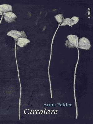 cover image of Circolare